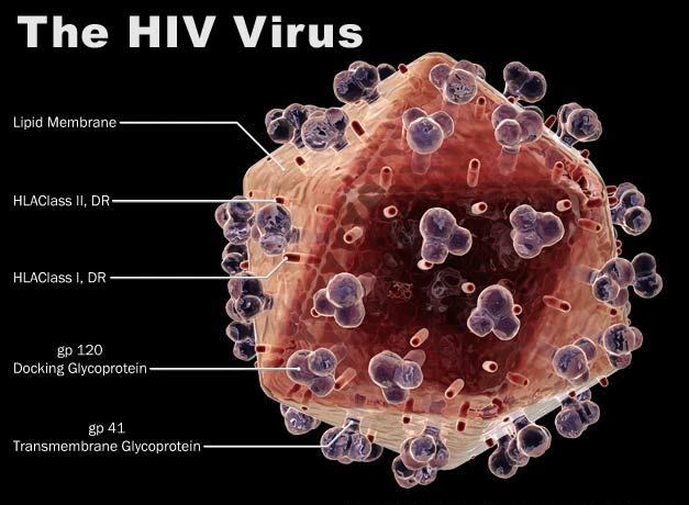 Download this Hiv Aids picture